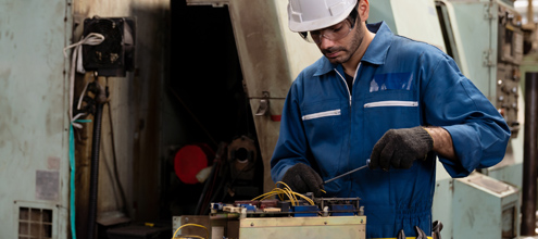 Expanding Capabilities: Specialized Services